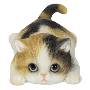 E[rA ԂOєL }Olbg 11.4×6.4×4.2cm l` tBMA u Aj}  K[f  A 킢 lR H20299