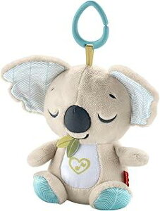 tBbV[vCX(fisher price) ǂł!₷݃RA ԂEĉ ʂ 0 O[ JBD65