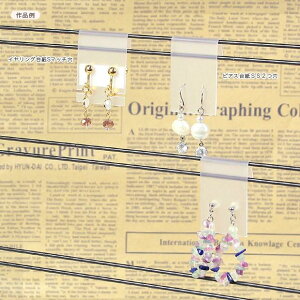 r[Y fBXvCpi sAX䎆SS 2 10 p[L