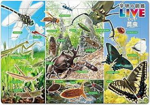 e[(Tenyo) y{z `ChpY } (w̐}LIVE) 60s[X ǂ Ȋw`Ch MC-60-629 ÂpJo[t 4~7