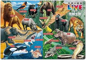 e[(Tenyo) y{z `ChpY 댯} (w̐}LIVE) 80s[X ǂ Ȋw`Ch MC-80-630 ÂpJo[t 5ˈȏ