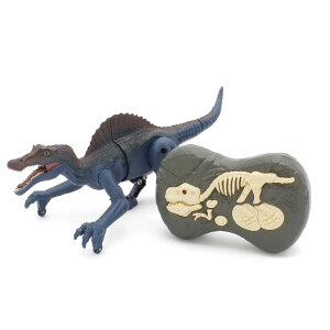 LEVE GbO(Kyosho Egg) R/C _Ci\[[_[ h!XsmTEX TS083