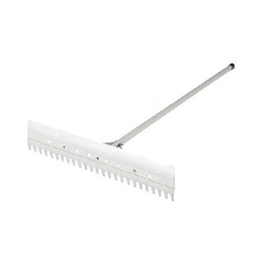 ���̑� /�_�C�J�L�E���[�L�P�����E W800 (H-5)
