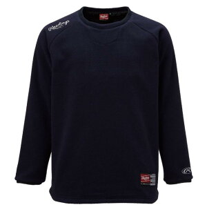 Rawlings([OX)싅p lp nCp[WB t[XVc(t) AOS11F10 lCr[ TCY M