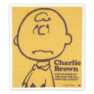 PEANUTS Xk[s[DISH CLOTH ␶nӂ YE-CHARLIE BROWN/PQ-901