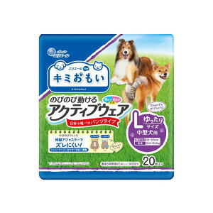 GG[ Pet L~ ̂т̂ѓANeBuEFA L  20 p ނ