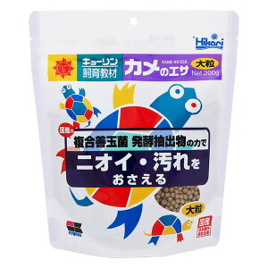 Hikari(qJ) ybgp J̃GT 嗱 Jp 200O (x 1)