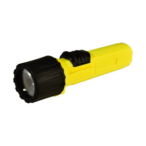 Nichido H LEDhd DS-10, CG[AubN 48×175mm