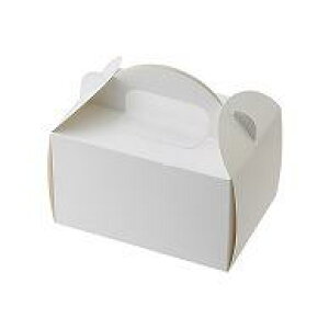 HEIKO  A[`nhL[P[L 10.5×15 P[L2~3p zCg 50/