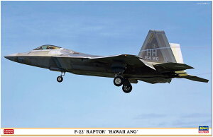 nZK(Hasegawa) 1/48 nCBR F-22 v^[ vf 07555 (s@)