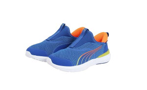 [PUMA] [v[}] LbY qǂ ^C ^ ʊw y w jZbNXq j̎q N[Y PROFOAM EASE IN PS J jZbNXq 25NtăJ[ rrbh u[/V[ Pv/IW 