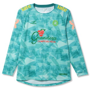 [tB^] FINTA TbJ[ WjA  vNeBXVc FT4505J (3300)GhO[ 150