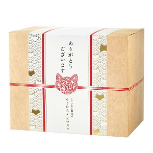 L`lR̂zbgAC}XNɂÂMtg(21)