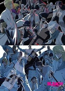 WO\[pY BLEACH N \O/\Rmc 500s[X (500-734)