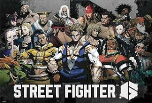 y{zro[ 1000s[X WO\[pY Xg[gt@C^[6 2(49×72) 1000-116