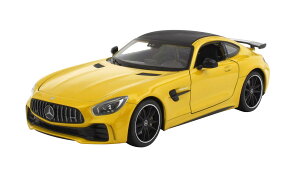 WELLY 1/24 ZfX AMG GTR CG[ i Ĕ