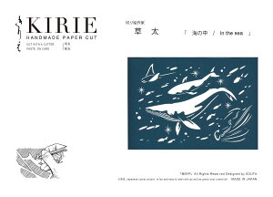 gXgveBO ؂G Lbg Shiny Blue/C̒ A4 BA4-S01