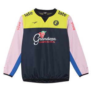 [tB^] FINTA TbJ[ WjA sXegbv FT4554 (1100)lCr[ 140