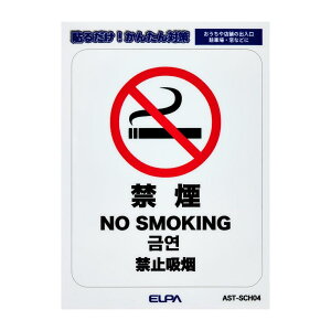 ͂₷XebJ[S ։ W53xH66mm AST-SCH04