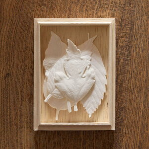 tς̂ HAKO nR 5 ˔ 1701 O { ̂ a