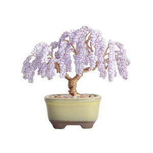 MIYUKI lWbeBONSAI~́r[YLbgZbg qr HCA30-4