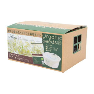 ĂĐHׂXvEg͔|Lbg At@t@ |  ͔| q