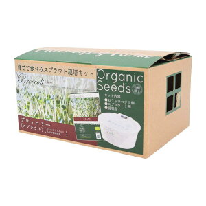 ĂĐHׂXvEg͔|Lbg ubR[ |  ͔| q