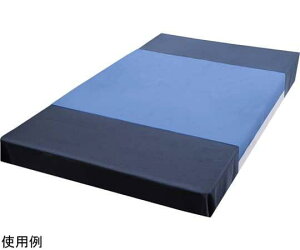  ۃfjhV[c CX-03005