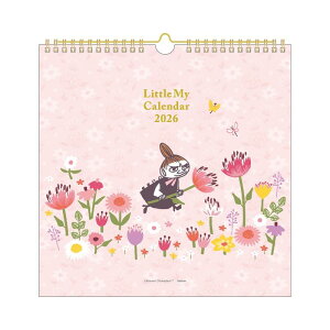 wXeCt 2026 J_[ [~ Ǌ| g~C AM14004 2026N 1n܂