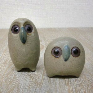 IBUKI CRAFT ACNtg tNE(ERVE)