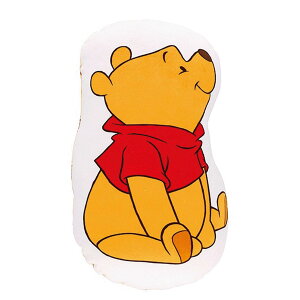  NbV fBYj[ ܂̃v[ nj[X^C Disney v[ v[  ̎q j̎q NbV ʂ CeA    ӂӂ 2215050500