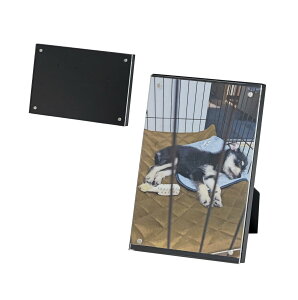 Gc~ tHgt[ }Olbg CeA }Ot[ ͂ L J[hTCY cp X^ht z Mtg v[g LO ʐ^ W fBXvC ubN VE-5600