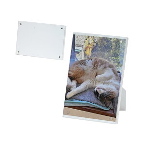 Gc~ tHgt[ }Olbg CeA }Ot[ ͂ L J[hTCY cp X^ht z Mtg v[g LO ʐ^ W fBXvC zCg VE-5601