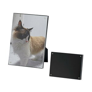 Gc~ tHgt[ }Olbg CeA }Ot[ 2L ͂ L 2 cp X^ht z Mtg v[g LO ʐ^ W fBXvC ubN VE-5603