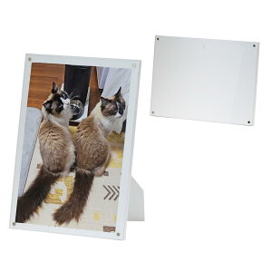 Gc~ tHgt[ }Olbg CeA }Ot[ A4 B5 2L TCY cp X^ht z Mtg v[g LO ʐ^ W fBXvC zCg VE-5607