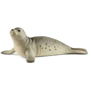 VCq ChCt AUV tBMA 14801