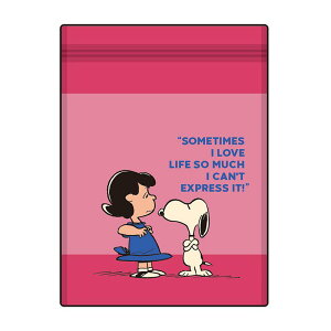 �ySALE�zPEANUTS STORAGE BAG 4��SET SN&LU/PK