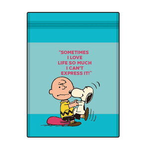 �ySALE�zPEANUTS STORAGE BAG 4��SET SN&CB/BL