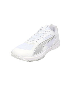 E)_�A�N�Z�����[�g_�v��_4 26�N�t�ăJ���[ �v�[�} �z���C�g/�V���o�[(02) �T�C�Y:265