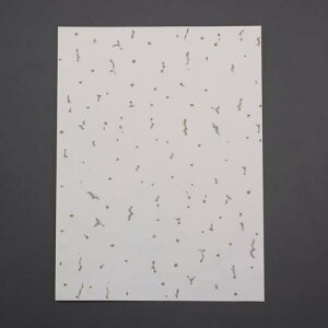 297x210mm �V���C�V�[�� A4�T�C�Y/5�� EA944MT-183
