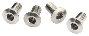 �N���G�[�V�������f��(Creation Model) INFINITY M3x6mm�`�^���X�����w�b�h�X�N�����[ (4��) B01306ST