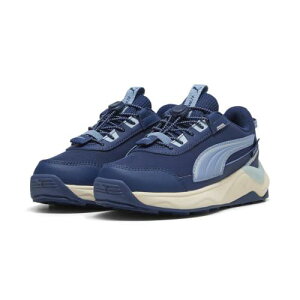 EVOLVE 2.0 TRAIL PURETEX LO PS 26�N�H�~�J���[ Persian Blue-ZenBlue-PUMA Silver(02) �T�C�Y:210