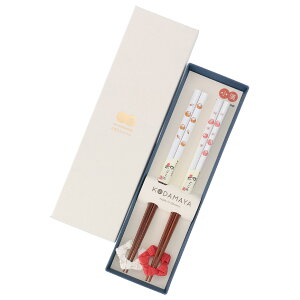 ���u�t�y�A�� �� �������