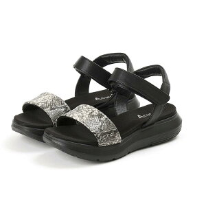 �A�L���A�[�Y AO-10215 ���f�B�[�X