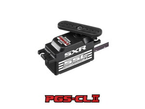 SANWA PGS-CLII (SXR�Ή�) LowProfiled Program 107A54514B
