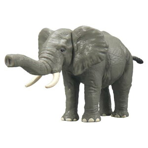 ^Jg~[ AjA AL-26 AtJ]E    3Έȏ