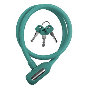 S(Gorin) J[C[ G-231W ANA/F 10×700mm