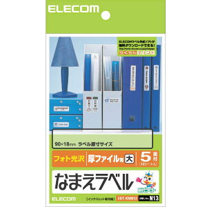エレコム ラベルシール はがきサイズ 光沢 なまえ ファイル用 60枚 5面×12シート EDT-KNM13