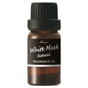 J[Cg(CARMATE) ԗp F tOXfBt[U[ p tOXIC zCgXNN. L10051