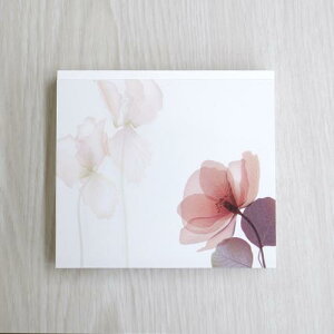 ubN NX^t[ wp-084 teBA 4e30 120/ 100 x 90mm  p ͂